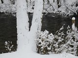 Wintereinbruch - 15.jpg